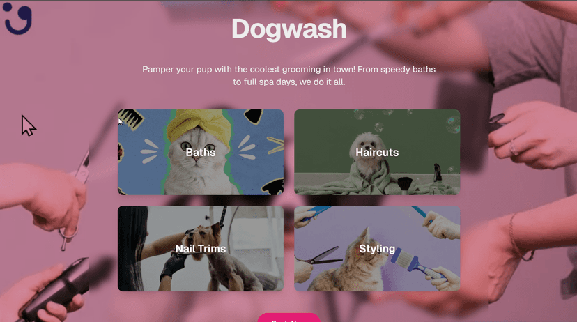 Pet Salon preview